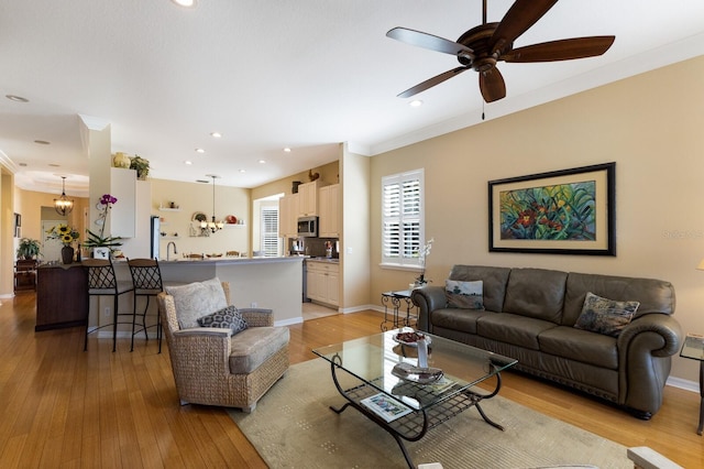 living room featuring crown molding, ceiling fan with notable chandelier, and light hardwood / wood-style floors