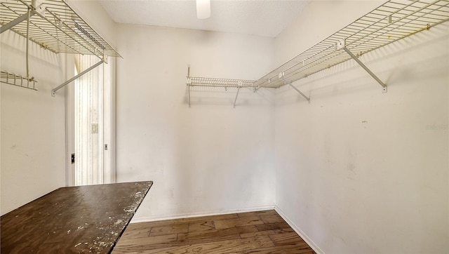 spacious closet with hardwood / wood-style flooring