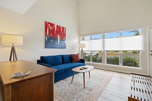 living room with hardwood / wood-style flooring and a high ceiling