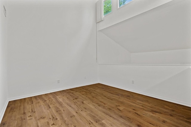 interior space with lofted ceiling and wood-type flooring