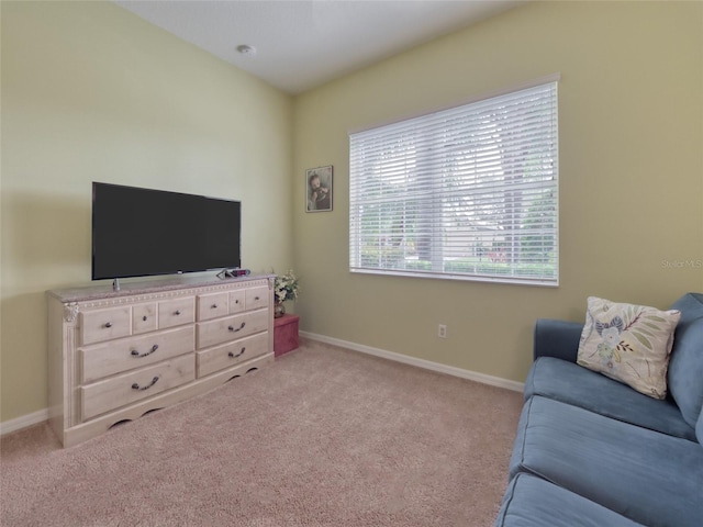 4139 63rd Ter E, Sarasota, FL 34243 - photo 47