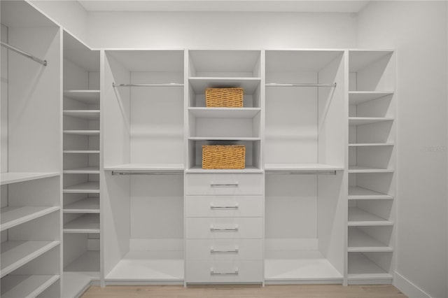 view of spacious closet