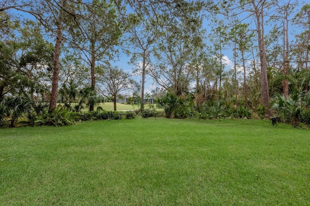 view of yard