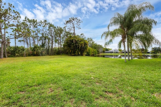 view of yard with a water view