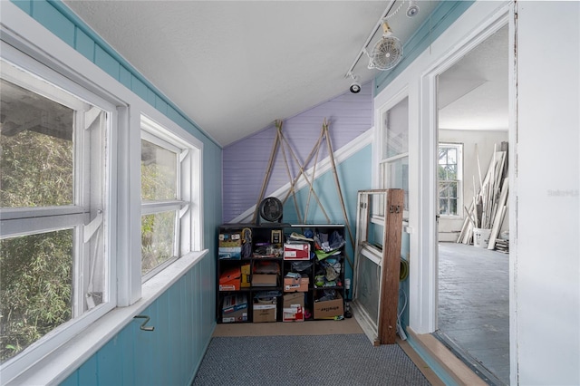 game room featuring light carpet, vaulted ceiling, and plenty of natural light