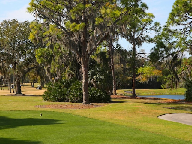 surrounding community with a water view and a lawn