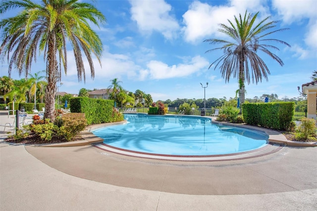 view of swimming pool