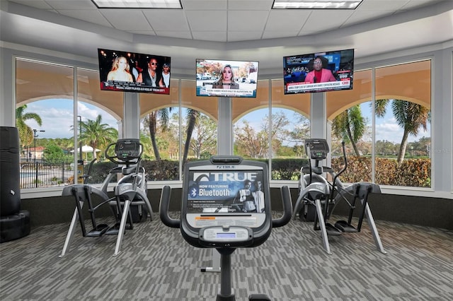 exercise room with carpet and a paneled ceiling