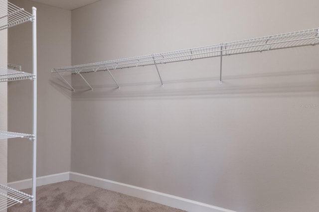 walk in closet featuring carpet