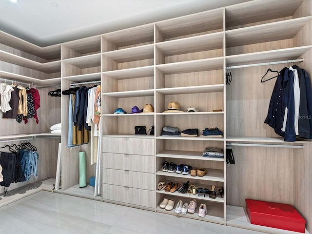 view of spacious closet