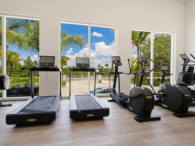 exercise room featuring light hardwood / wood-style floors