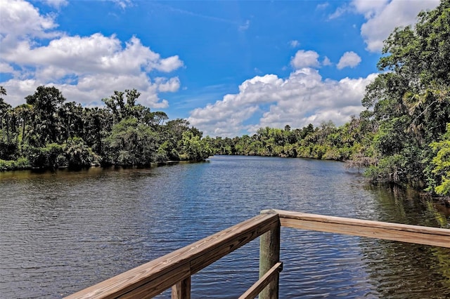 dock area with a water view