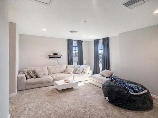 living room with carpet floors