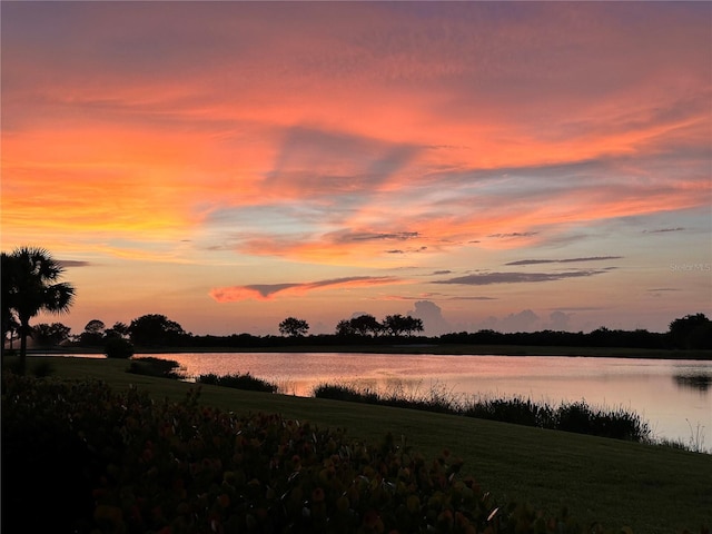 115 Winding River Trl, Bradenton, FL 34212 - water view