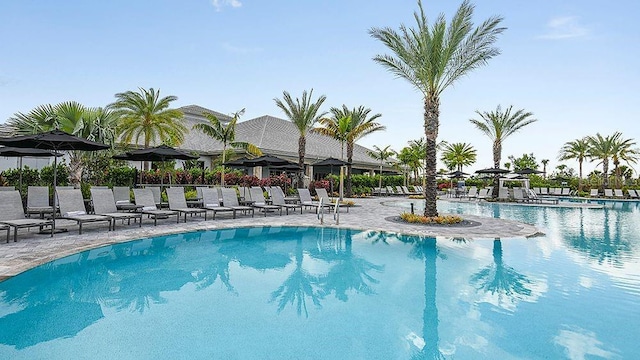 view of swimming pool featuring a patio