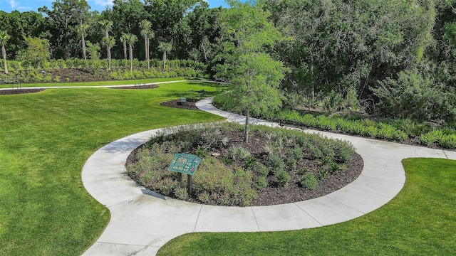 view of home's community with a lawn