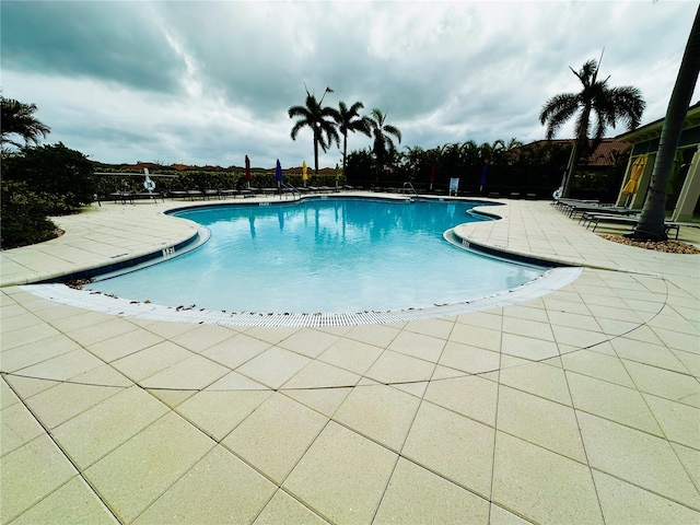 view of pool featuring a patio area