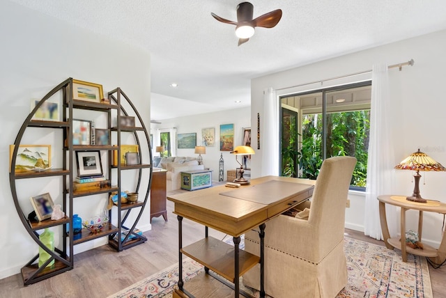 dining space featuring light hardwood / wood-style floors, ceiling fan, and a textured ceiling