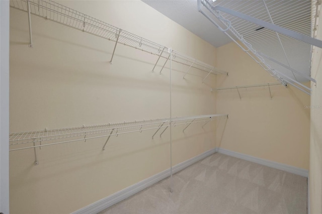 spacious closet with carpet flooring