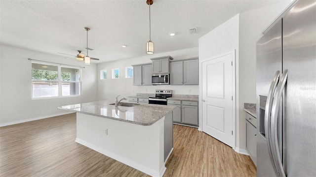 3718 Mossy Limb Ct, Palmetto, FL 34221 - kitchen with stainless steel appliances, gray cabinets, a sink, light wood-style flooring, and a textured ceiling