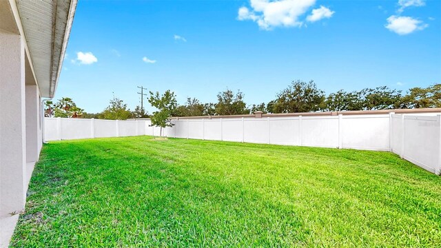 3718 Mossy Limb Ct, Palmetto, FL 34221 - view of yard