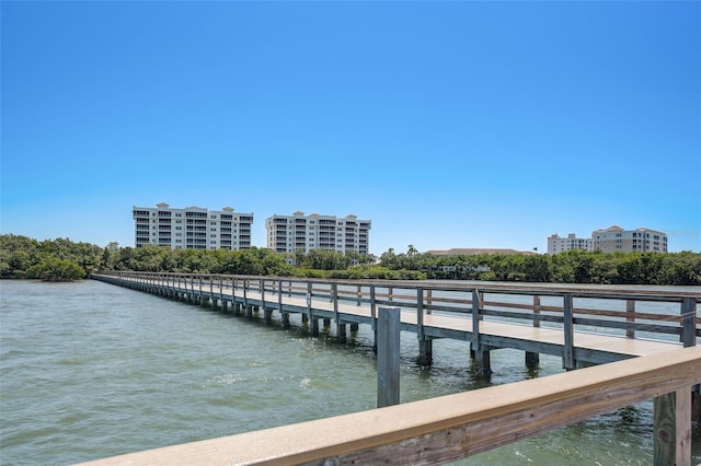 dock area with a water view