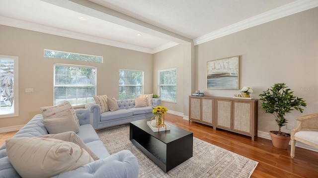 living room featuring ornamental molding and wood-type flooring