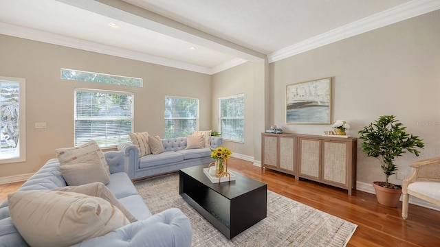 1789 Loma Linda St, Sarasota, FL 34239 - living area featuring baseboards, ornamental molding, recessed lighting, and light wood-type flooring