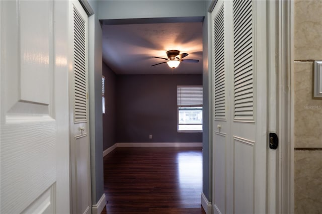 hall with dark wood-type flooring