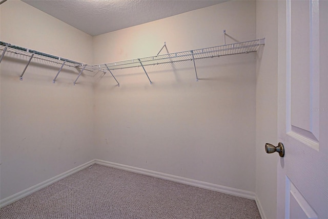 spacious closet with carpet floors