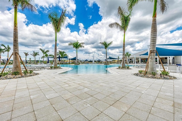 view of swimming pool with a patio