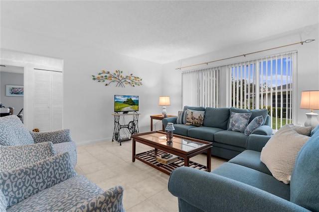 living room featuring baseboards and a textured ceiling