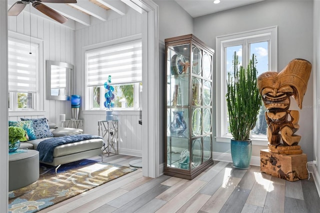 doorway with light hardwood / wood-style floors, beamed ceiling, wooden walls, and ceiling fan