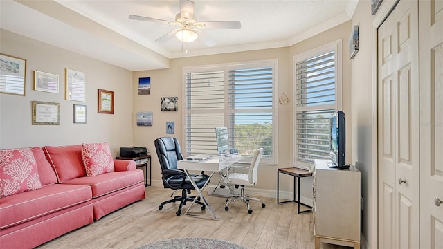 office space with light hardwood / wood-style floors, ceiling fan, plenty of natural light, and crown molding