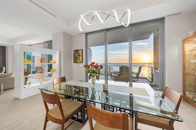 dining room with light hardwood / wood-style floors