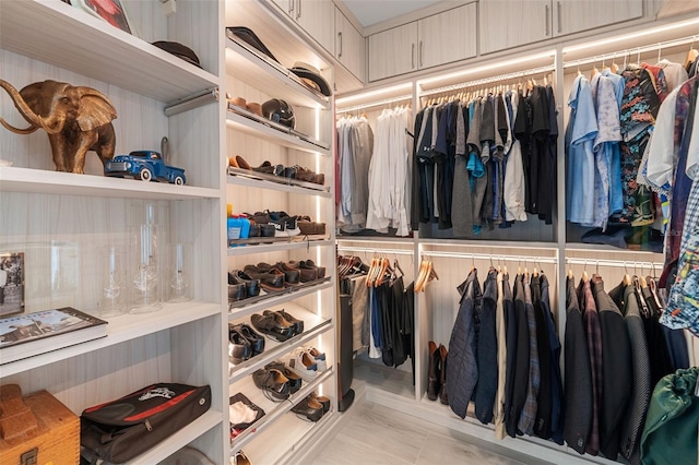 view of walk in closet