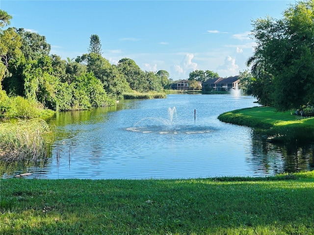 water view