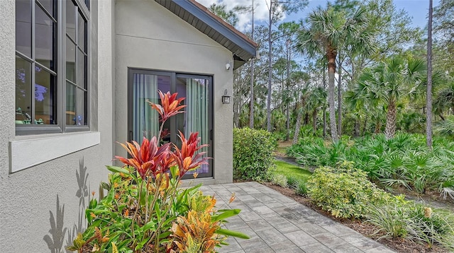 view of exterior entry featuring stucco siding