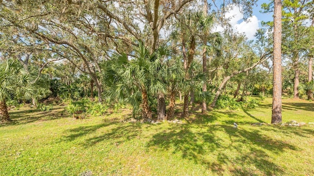 9291 Swaying Branch Rd, Sarasota, FL 34241 - view of green lawn