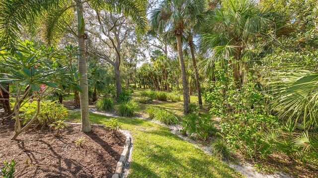 9291 Swaying Branch Rd, Sarasota, FL 34241 - view of yard