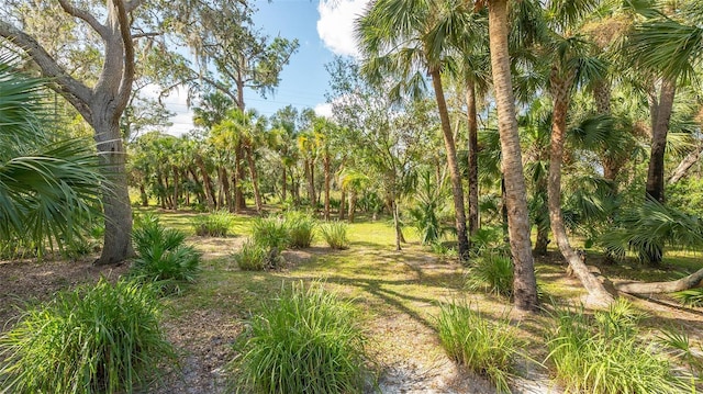 9291 Swaying Branch Rd, Sarasota, FL 34241 - view of nature