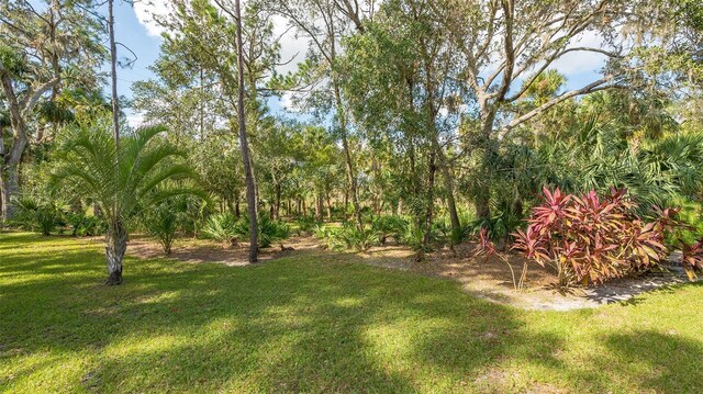 9291 Swaying Branch Rd, Sarasota, FL 34241 - view of green lawn