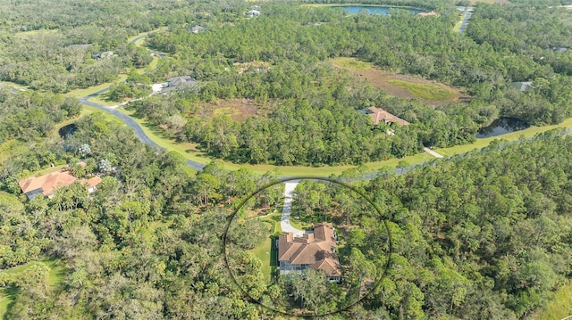 bird's eye view featuring a water view and a view of trees