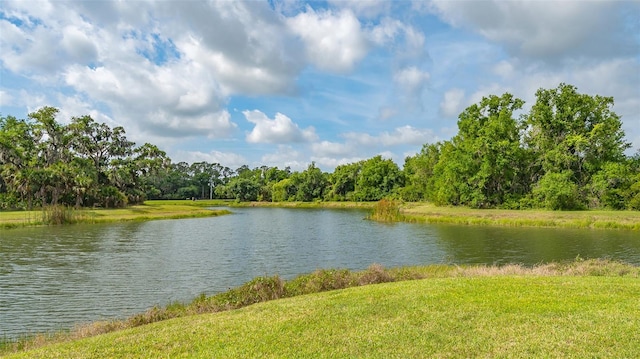 view of water feature featuring a wooded view