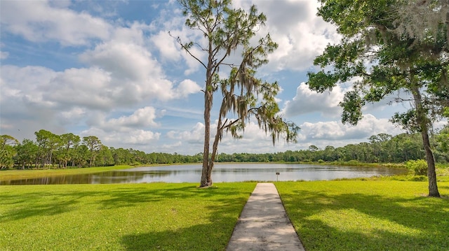 water view with a view of trees