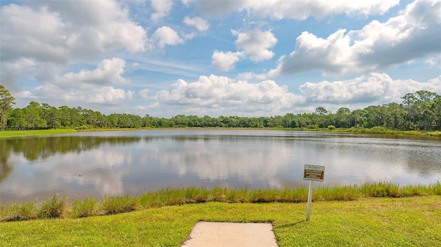 water view with a forest view