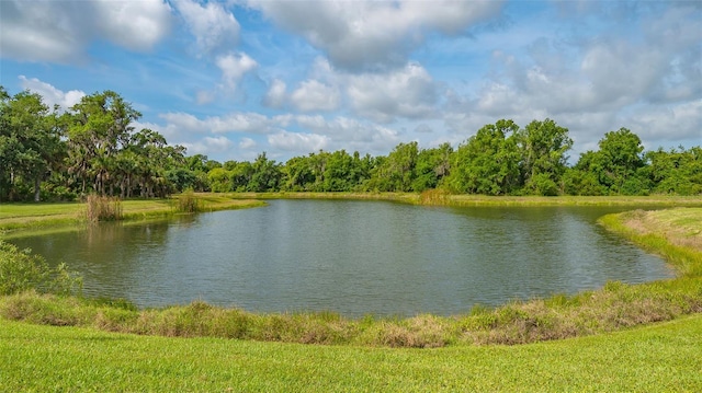 property view of water with a view of trees