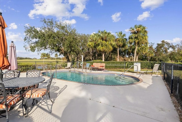 view of swimming pool with a patio