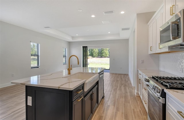 kitchen with appliances with stainless steel finishes, a tray ceiling, white cabinetry, and a kitchen island with sink