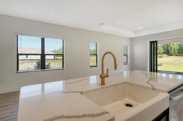 interior details with wood-type flooring, light stone counters, a raised ceiling, and stainless steel dishwasher